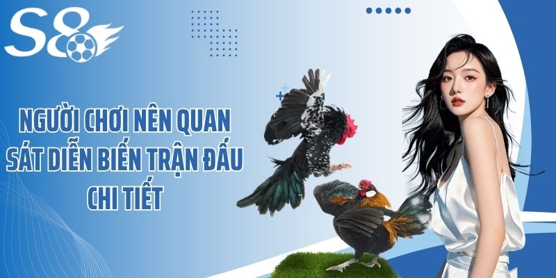 Người chơi nên quan sát diễn biến trận đấu chi tiết