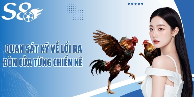 Quan sát kỹ về lối ra đòn của từng chiến kê