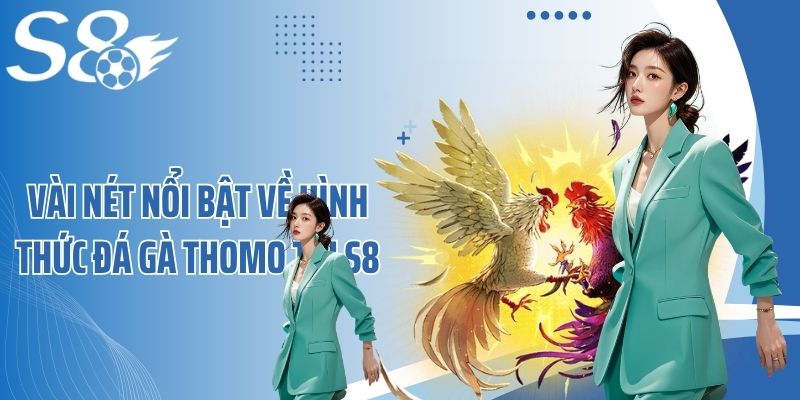Vài nét nổi bật về hình thức đá gà Thomo tại S8